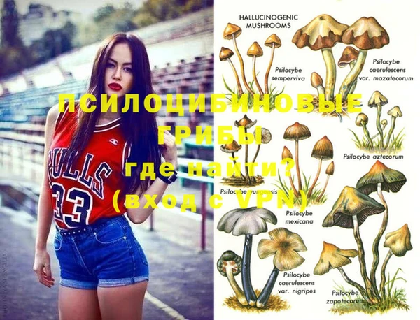 не бодяженный Заводоуковск