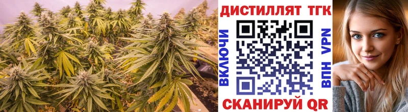 ТГК THC oil  Купить закладки  Семёнов 