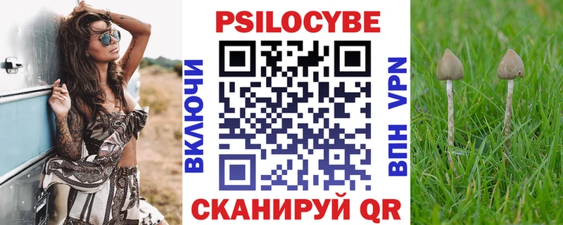 Купить  Семёнов  Галлюциногенные грибы MAGIC MUSHROOMS 